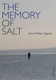 The Memory of Salt (Alice Melike Ülgezer)