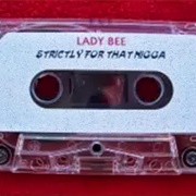 Lady Bee - Strictly for That Nigga