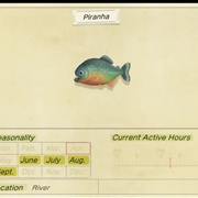 Piranha