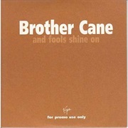 And Fools Shine on - Brother Cane