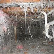 Crawlspace