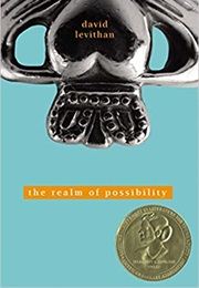 The Realm of Possibility (David Levithan)