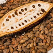 Cocoa (Cacahuatl)