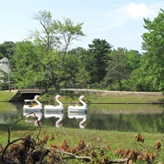 Roger Williams Park (Providence, RI)