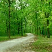 Shimek State Forest, Iowa