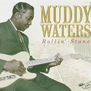 Muddy Waters - Rollin&#39; Stone