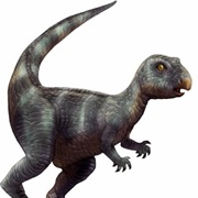 Xiaosaurus