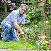 Gardener