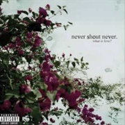 Can&#39;t Stand It - Never Shout Never