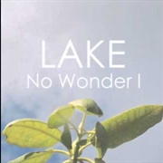 No Wonder I - LAKE