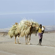 Djibouti