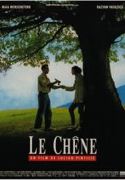 Le Chêne