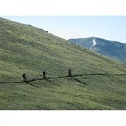 Mountain Bike the Monarch Crest Trail