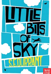 Little Bits of Sky (S.E. Durrant)