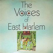 Voices of East Harlem