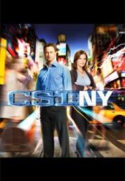 CSI NY (1 Episode)