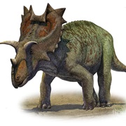 Ornithischians