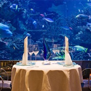 Dine in an Underwater Restaurant