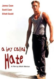 A Boy Called Hate (1995)