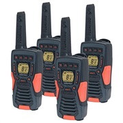 Walkie Talkie