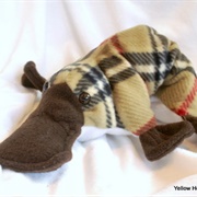 Plaid Platypus