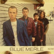 Blue Merle