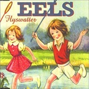 Flyswatter - Eels