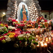 The Feast of the Virgin of Guadalupe