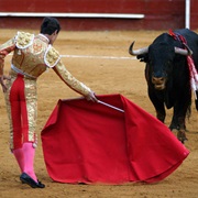 Bullfighting