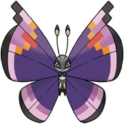 Vivillon (Elegant Pattern)