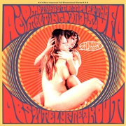 Acid Mothers Temple &amp; the Melting Paraiso U.F.O - Absolutely Freak Out (Zap Your Mind!!) (2001)