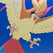 Mega Pidgeot