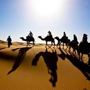 Ride a Camel in the Desert