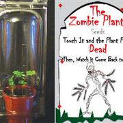 Zombie Plant Party Favor