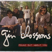 The Gin Blossoms - Found Out About You