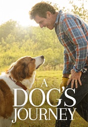 A Dog&#39;s Journey (2019)