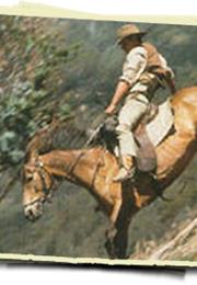 Denny (The Man From Snowy River)