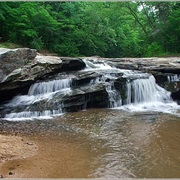 Musgrove Mill State Historic Site, South Carolina