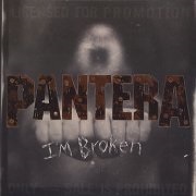 I&#39;m Broken - Pantera