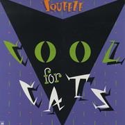 Cool for Cats - Squeeze