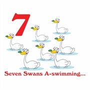 Seven Swans a Swimming