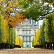 Stroll Through Jardin Des Tuileries.