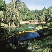 Crystal Springs, Florida