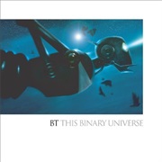 BT - This Binary Universe