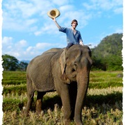 I Have Already Ridden an Elephant