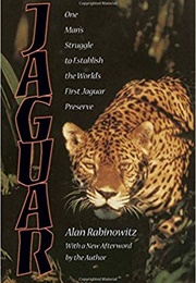 Jaguar (Alan Robinowitz)