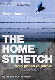 The Home Stretch: From Prison to Parole (Erwin James)