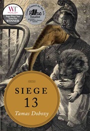 Siege 13 (Tamas Dobozy)