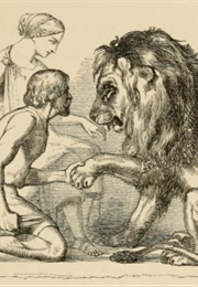 The Lion in Love (Aesop)