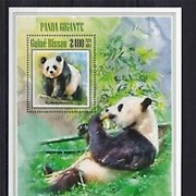 Guinea Bissau--Fauna - Pandas